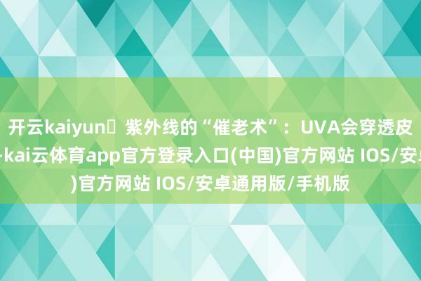 开云kaiyun✨紫外线的“催老术”：UVA会穿透皮肤破碎胶原卵白-kai云体育app官方登录入口(中国)官方网站 IOS/安卓通用版/手机版